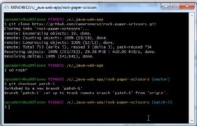 Git clone command