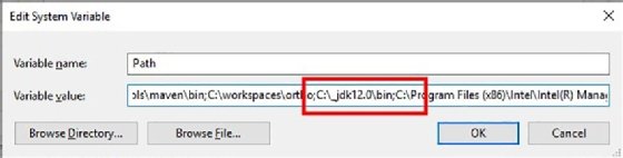 Set up JDK PATH